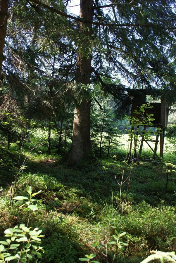 Gaestehaus Wuehrer Franking Extérieur photo